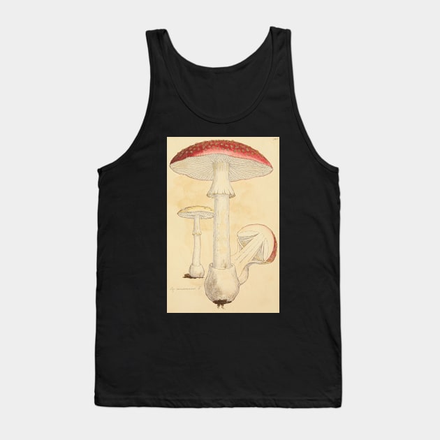 Amanita Mushroom, James Sowerby Tank Top by immortalpeaches